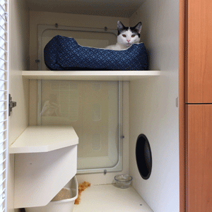 kitty condo separate litter box area
